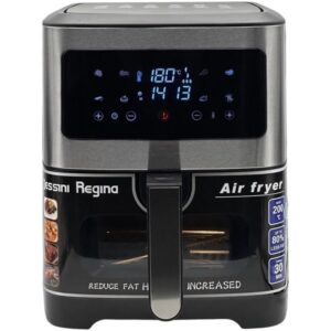 سرخ کن دسینی 10 لیتر مدل DR-8808S هولایف